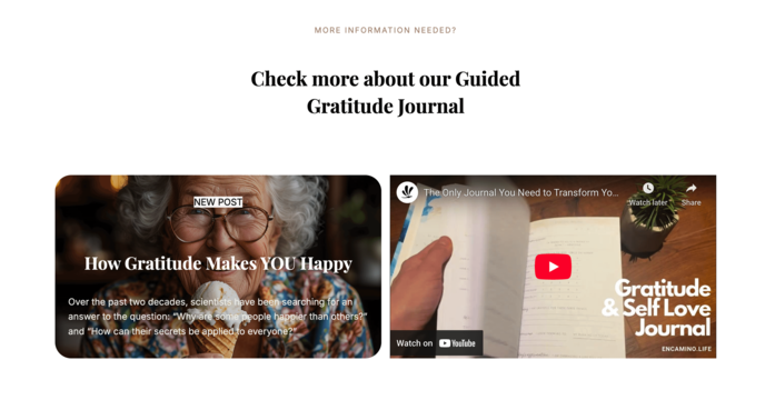 Landingpage für Buchverkauf WordPress Webdesign Landingpage für Buchverkauf auf Amazon