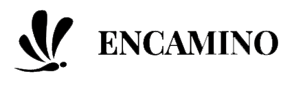 encaminolife webdesign agentur in Wien österreich