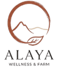 Alaya webdesign agentur in Wien österreich